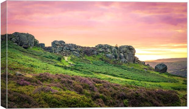 Cow and Calf Red Sky Panorama Canvas Print by Paul Grubb