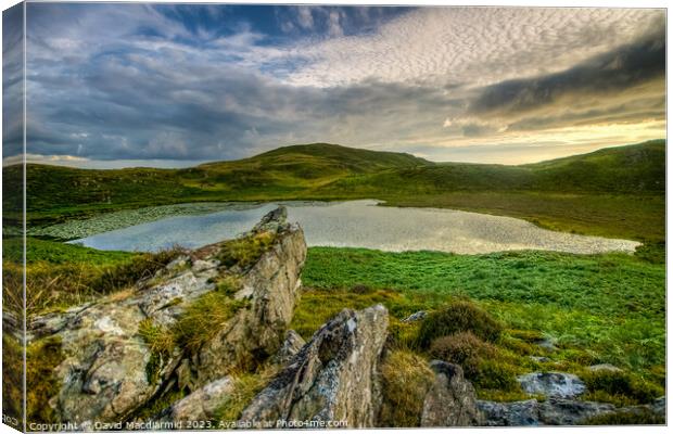 Bearded Lake, Wales Canvas Print by David Macdiarmid