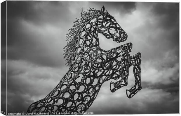 Horse Sculpture Canvas Print by David Macdiarmid