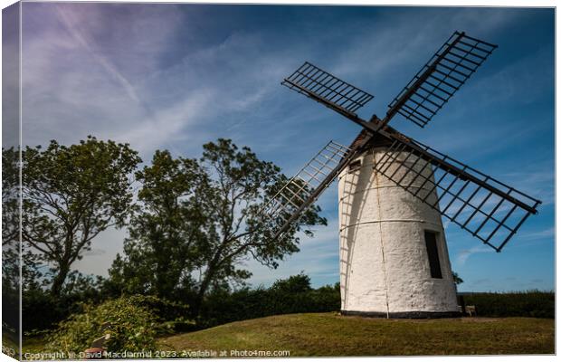 Ashton Windmill, Somerset Canvas Print by David Macdiarmid