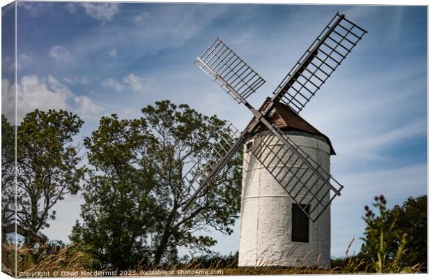 Ashton Windmill, Somerset Canvas Print by David Macdiarmid