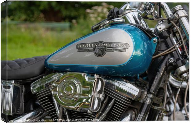 Harley Davidson Canvas Print by David Macdiarmid