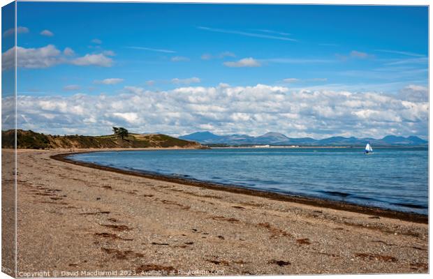 Llanbedrog Beach Canvas Print by David Macdiarmid