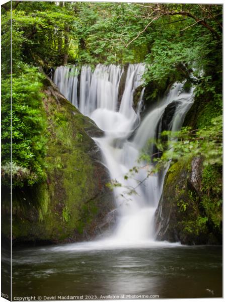 Furnace Falls, Machynlleth Canvas Print by David Macdiarmid