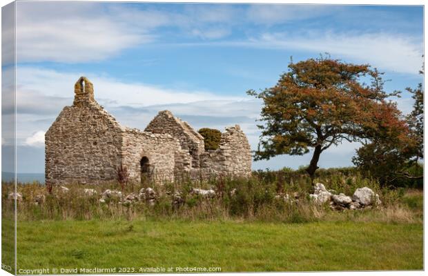 Capel Lligwy, Anglesey Canvas Print by David Macdiarmid