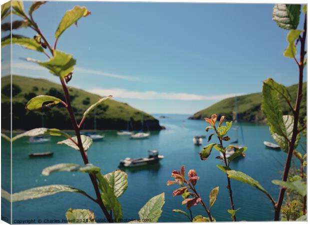 Solva harbour Pembrokeshire Canvas Print by Charles Powell