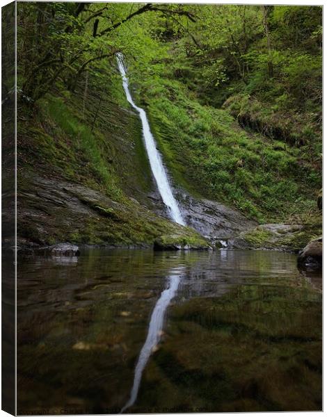Whitelady waterfall Lydford  Canvas Print by Charles Powell