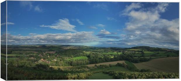 Colmers Hill panorama Canvas Print by Charles Powell