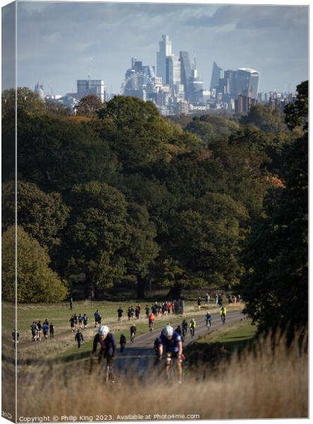 London Skyline from Richmond Park Canvas Print by Philip King