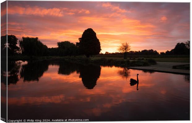 Sunrise at Bushy Park Canvas Print by Philip King