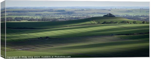 Vale of Pewsey Canvas Print by Philip King