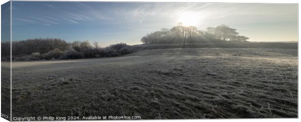 Wittenham Clumps in Winter Canvas Print by Philip King