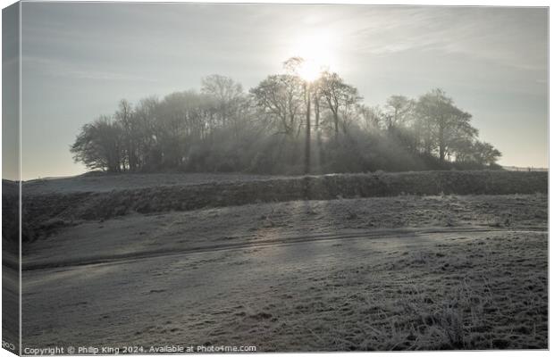 Winter at Wittenham Clumps Canvas Print by Philip King