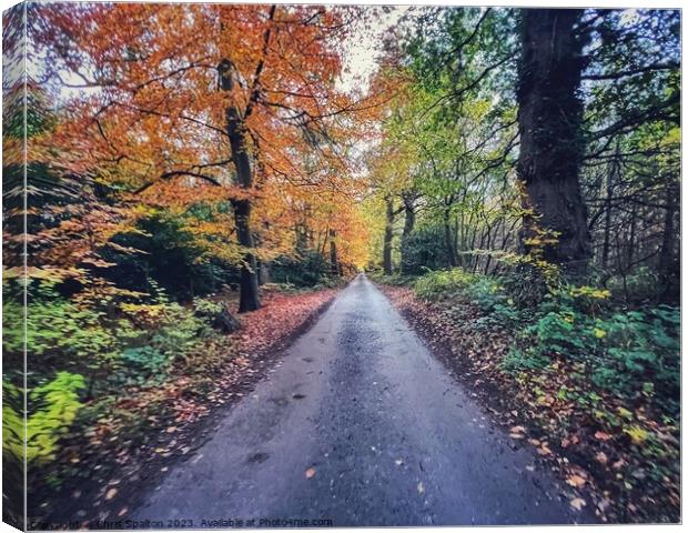 Country road in Autumn Canvas Print by Chris Spalton