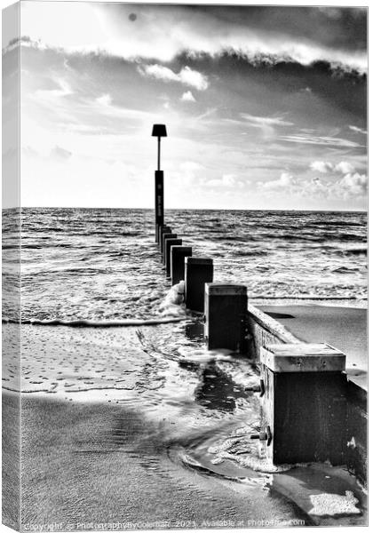 Black and White Seascape Canvas Print by PhotographyByColeman 