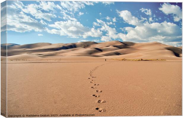 Desert Footprints Canvas Print by Madeleine Deaton