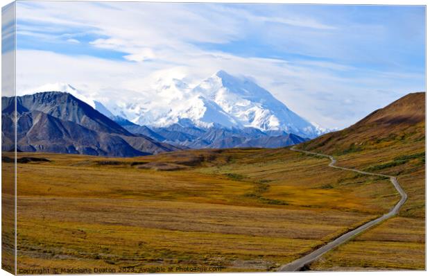 The Road to Denali in Glorious Fall Canvas Print by Madeleine Deaton