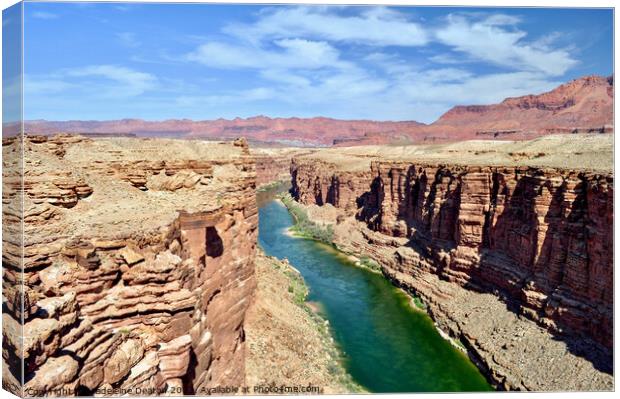 The beautiful Colorado River from Navajo Bridge Canvas Print by Madeleine Deaton