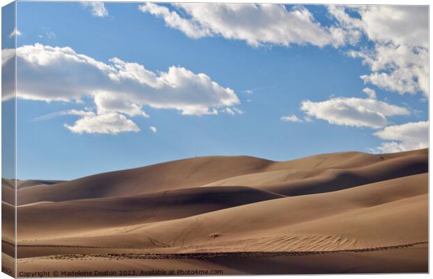 Great Sand Dunes National Park Canvas Print by Madeleine Deaton