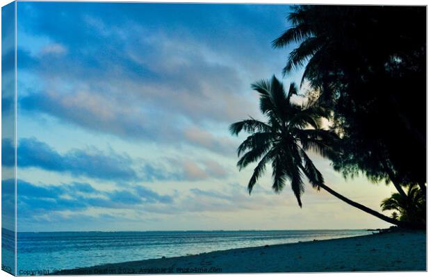 Silhouette of palm tree at dusk on a beach in Rarotonga Canvas Print by Madeleine Deaton