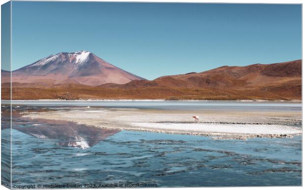 Bolivian Volcano Reflections  Canvas Print by Madeleine Deaton