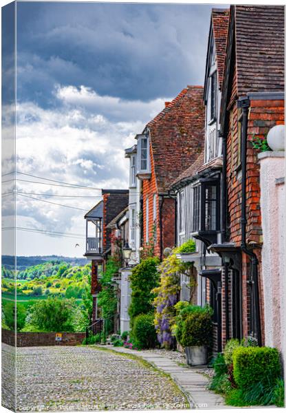 Watchbell Street, Rye Canvas Print by Peter East-Hall