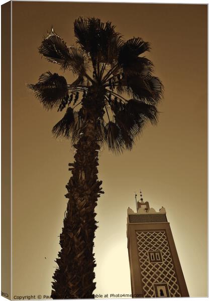 Palm tree and minaret, Taroudant, sepia  Canvas Print by Paul Boizot