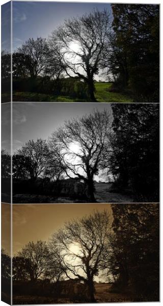 Autumn trees and field, Oxfordshire montage Canvas Print by Paul Boizot