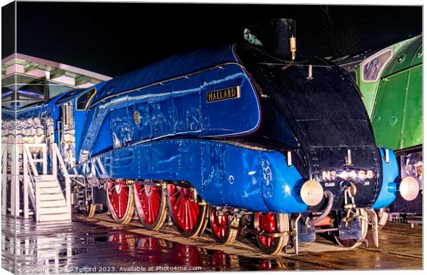 Mallard Canvas Print by Paul Telford