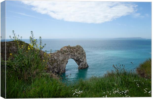 Durdle Door, Dorset Canvas Print by Lesley Carruthers