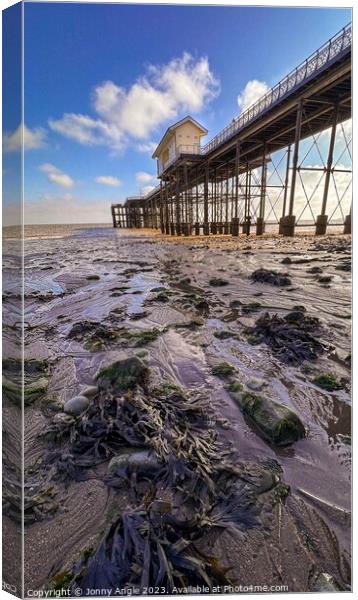 Beneath Penarth Pier  Canvas Print by Jonny Angle