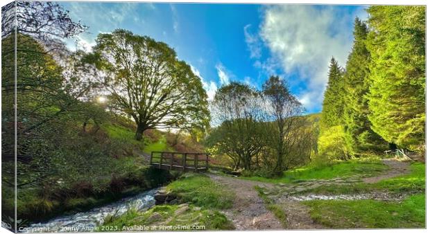Caerfanell river bridge and valley   Canvas Print by Jonny Angle
