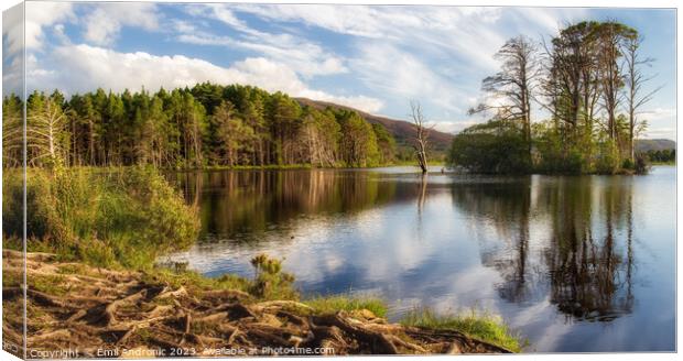 Loch Mallachie  Canvas Print by Emil Andronic