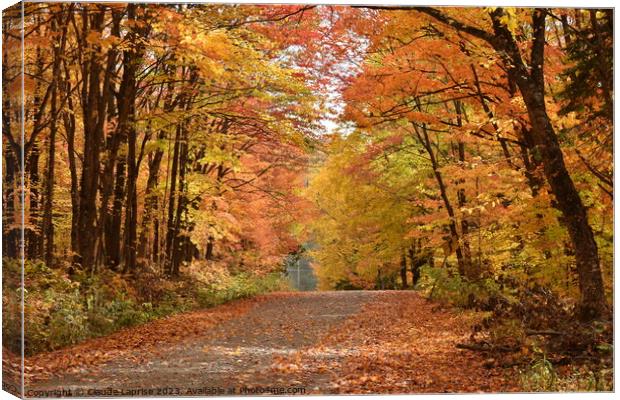 A country road in autumn Canvas Print by Claude Laprise