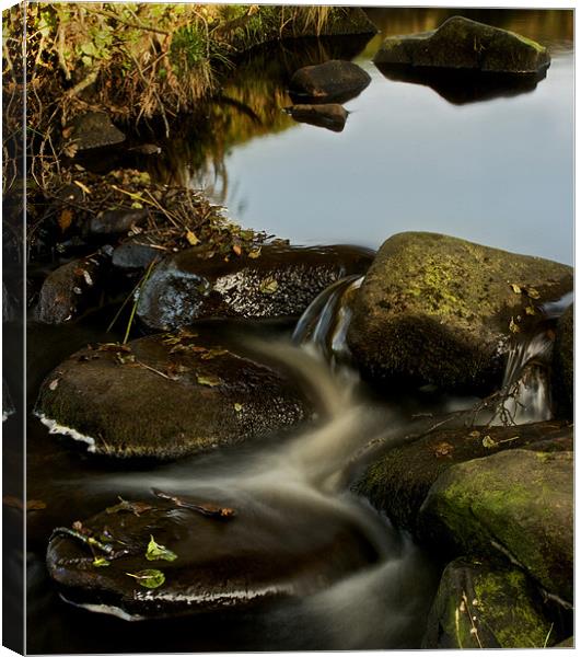 Padley Gorge,Winding Water Canvas Print by Simon Gladwin