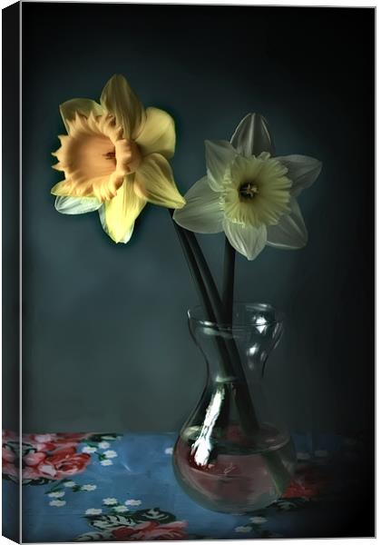 Daffs and Vase Canvas Print by Simon Gladwin