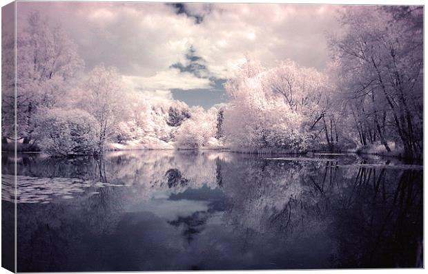 Lilac Reflections in Watermead Park Canvas Print by Simon Gladwin