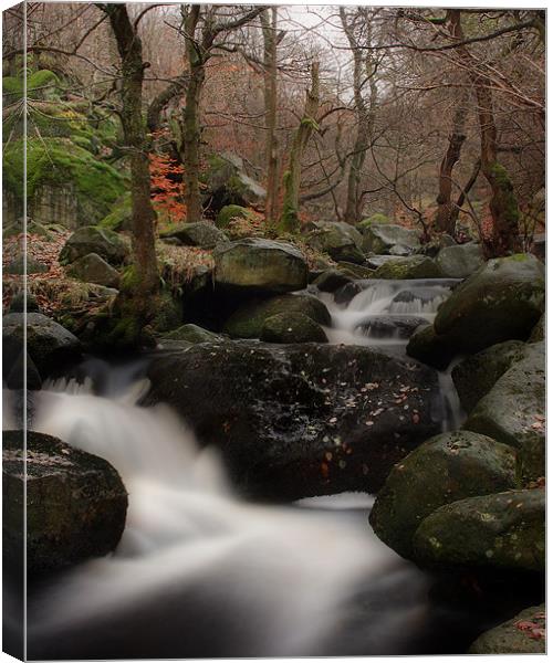 Padley Gorge Canvas Print by Simon Gladwin