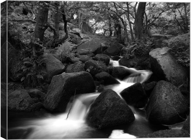 Padley Gorge in Black and White Canvas Print by Simon Gladwin