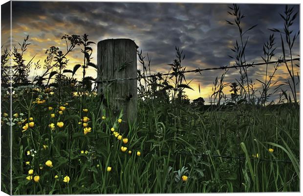 Steadfast Against The Night Canvas Print by Simon Gladwin