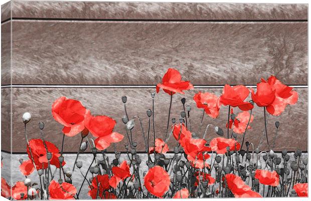 Red Urban Poppies Canvas Print by Simon Gladwin