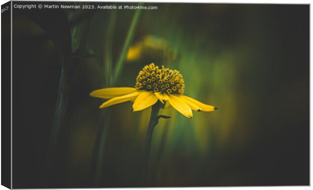 A close up of a flower Canvas Print by Martin Newman