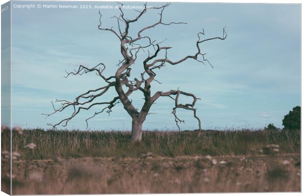 Isolated Tree Canvas Print by Martin Newman