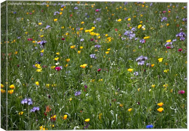 Wildflowers Canvas Print by Martin Newman