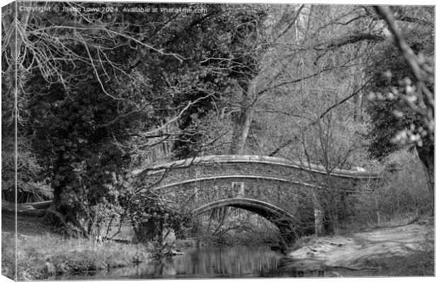 Bridge through the trees Canvas Print by Justin Lowe