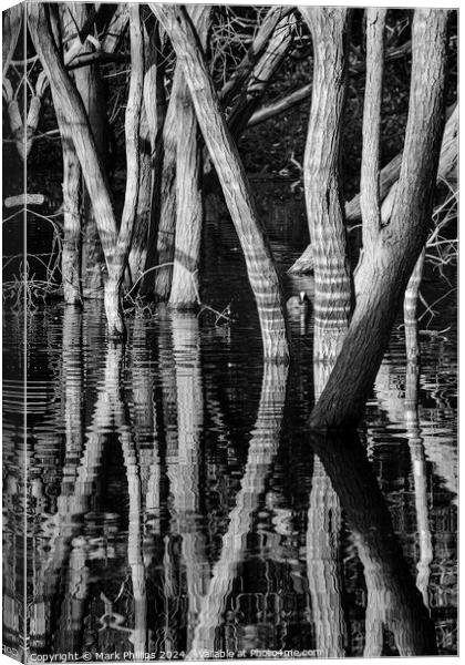 Flooded woodland Canvas Print by Mark Phillips