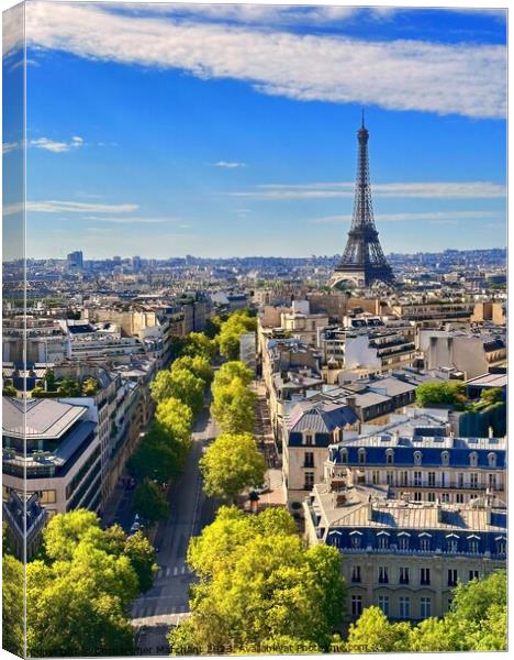 Paris and the Eiffel Tower  Canvas Print by Christopher Marchant