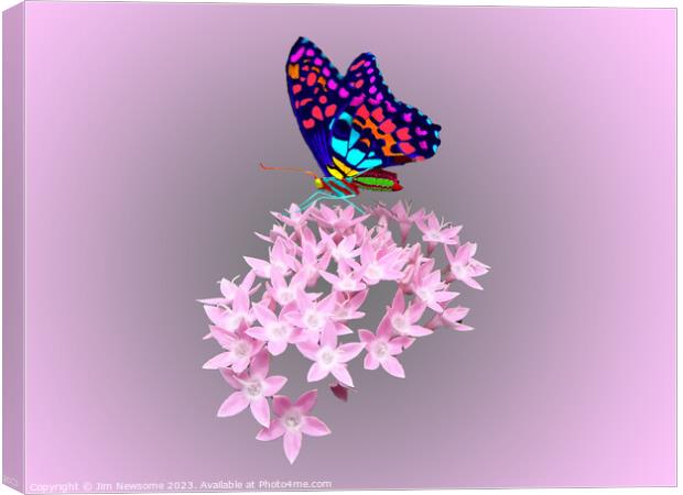 Multi Coloured Butterfly on Pink Flower Canvas Print by Jim Newsome