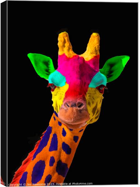 Multi Coloured Giraffe Canvas Print by Jim Newsome