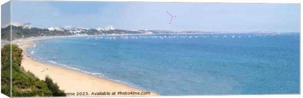 Bournemouth Air show - Red Arrows Display Team Canvas Print by Jim Newsome